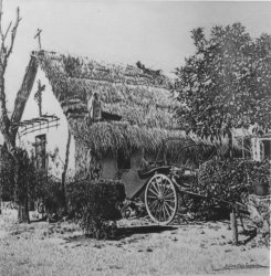 76 la huerta valenciana